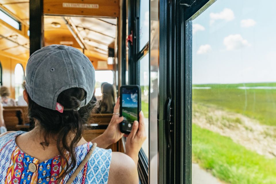 Savannah: Tybee Island Dolphin Tour - Boat Cruise