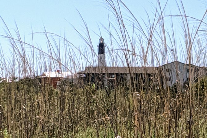 Savannah VIP Tour: Private Full-Day Tour - Transportation and Logistics