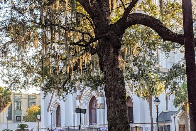 Savannah VIP Tour: Private Full-Day Tour - Pricing and Booking Process