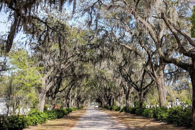 Savannah VIP Tour: Private Full-Day Tour - Tips for an Enjoyable Tour