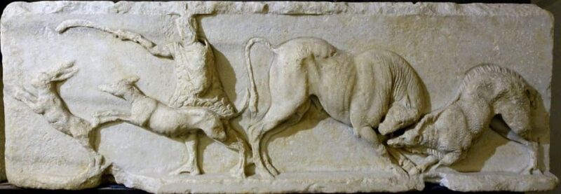 Savona: Guided Tour of the Civic Museum of Archaeology and the City of Savona - Tour Inclusions