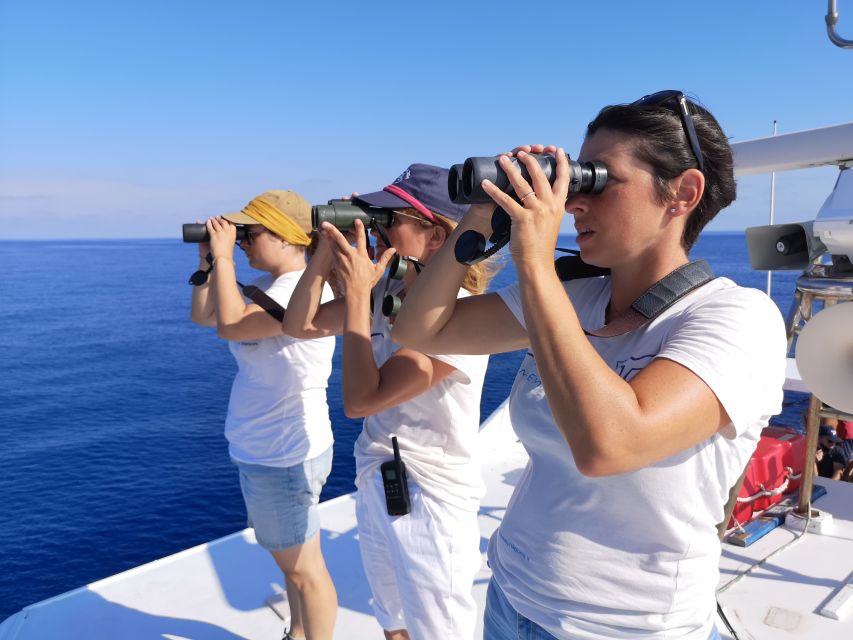 Savona: Pelagos Sanctuary Guided Cetacean Watching Tour - Important Information