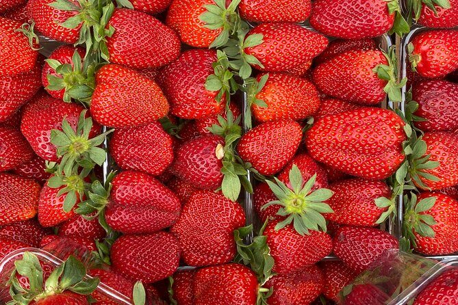 Savor Athens Walk: A Culinary & Travel Writers Insider Food Tour - Who Should Book This Tour?