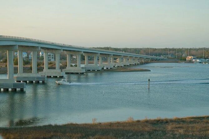 Savor the Sea: Holistic Health Walking Tour in Surf City - Mindful Moments and Light Movement
