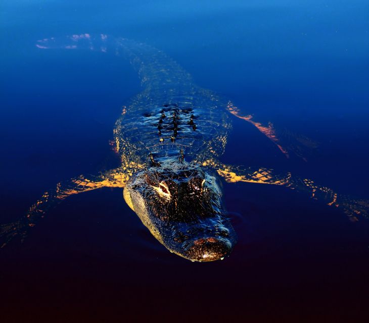 Sawgrass Park: Private 1-Hour Airboat Adventure Tour - Frequently Asked Questions