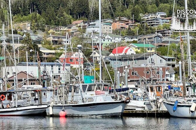 Saxman Native Village & Ketchikan City Tour - Practical Details and Considerations