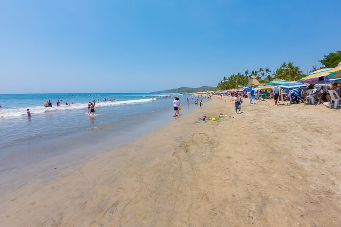 Sayulita And San Pancho Beachs Tour - Traveler Insights and Recommendations