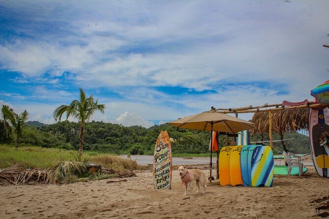 Sayulita and San Pancho Day Trip from Puerto Vallarta - A Genuine Look at the Experience