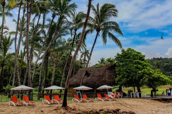 Sayulita and San Pancho Day Trip from Puerto Vallarta - FAQ