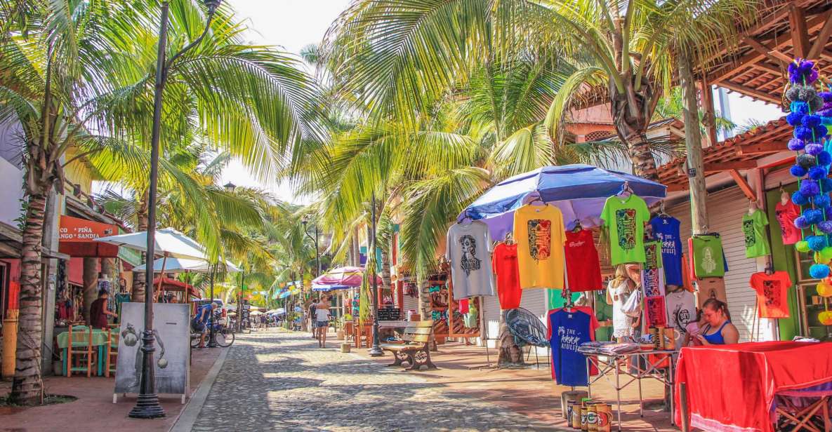 Sayulita and San Pancho Day Trip - Key Points