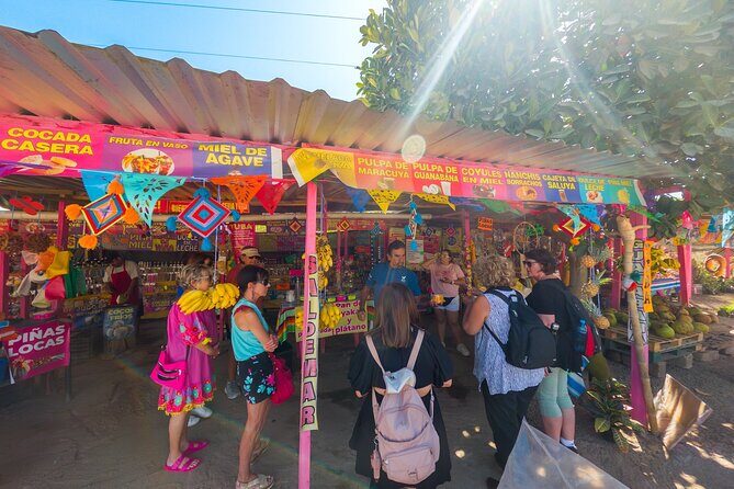 Sayulita and San Pancho Tour - Final Thoughts