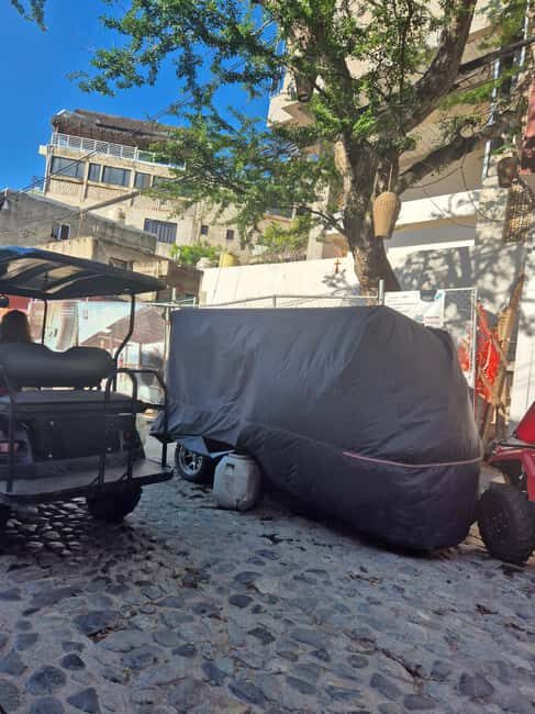 Sayulita: Electric Cart Rental - What You Can Expect from the Sayulita Electric Cart Rental