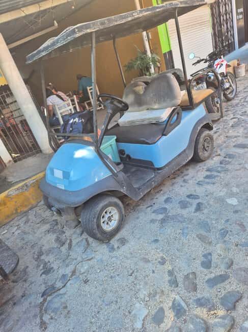 Sayulita: Electric Cart Rental - Who Will Benefit Most?