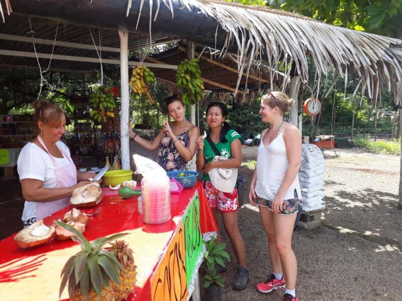 Sayulita: Petroglyphs Sacred Sanctuary Guided Experience - Key Points