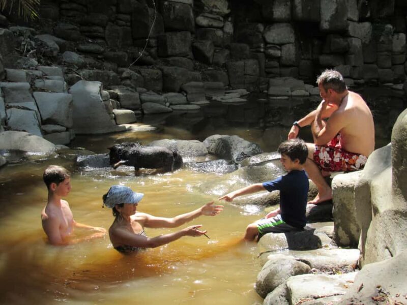 Sayulita: Petroglyphs Sacred Sanctuary Guided Experience - Exploring the Journey: What to Expect