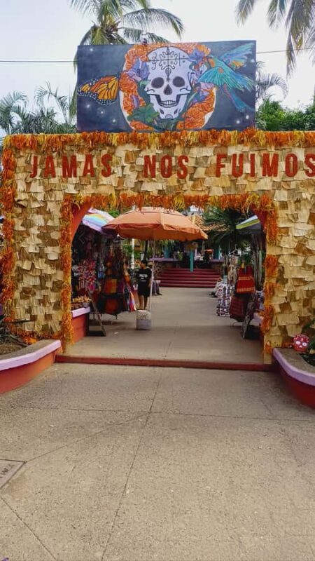 Sayulita & San Pancho Adult Group Discounted Tour - Key Points