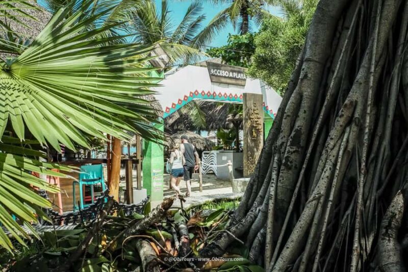 Sayulita & San Pancho: Private Trip from Puerto Vallarta - What to Expect in Practice