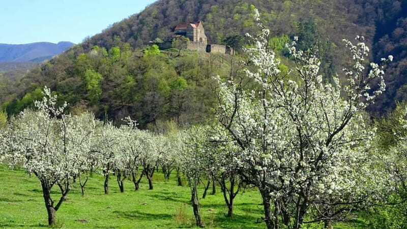 SB13 - Sibiu: Private Day Trip to Transylvanian Villages - An Authentic Journey Through Transylvania’s Countryside