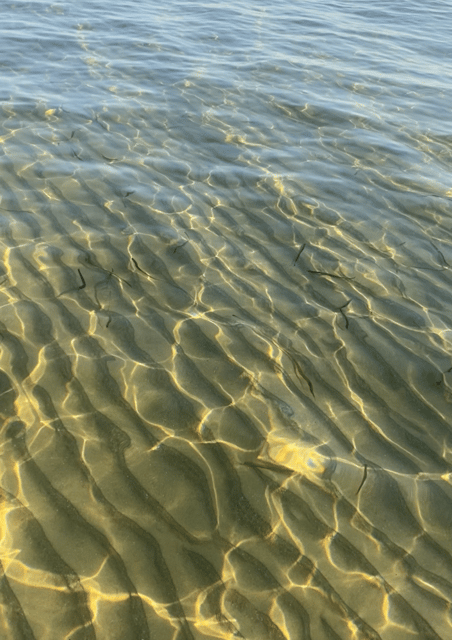 Scala Dei Turchi: Snorkeling With a Marine Biologist! - Marine Life Exploration