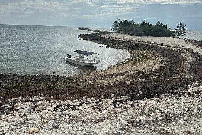 Scalloping Charters - Who Should Consider This Tour?