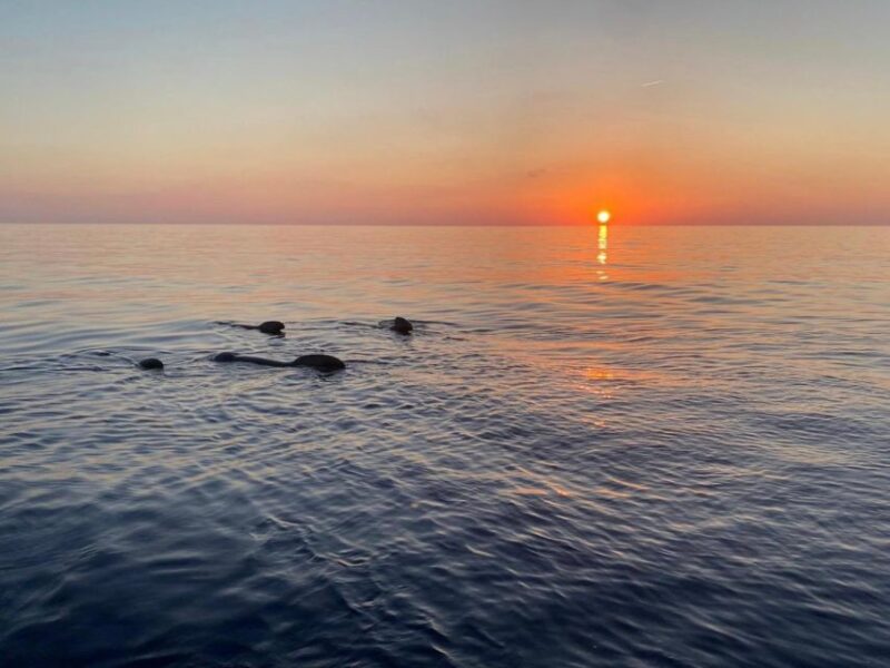 Scandola & Girolata Return at Sunset - Booking and Meeting Information