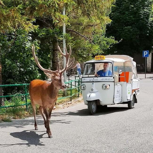 Scanno: Tuk tuk tours of the main attractions in and around Scanno - The Sum Up