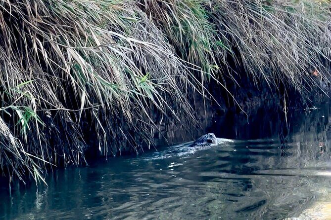 Scappoose Bay Kayak Adventure Private tour - The Itinerary in Detail