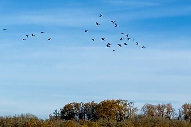 Scappoose Bay Kayak Adventure Private tour - Who Will Love This Tour?