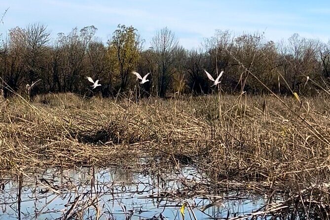 Scappoose Bay Kayak Adventure Private tour - FAQ