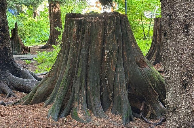 Scavenger Hunt Adventure with Geocaching in Whistler - Practical Details