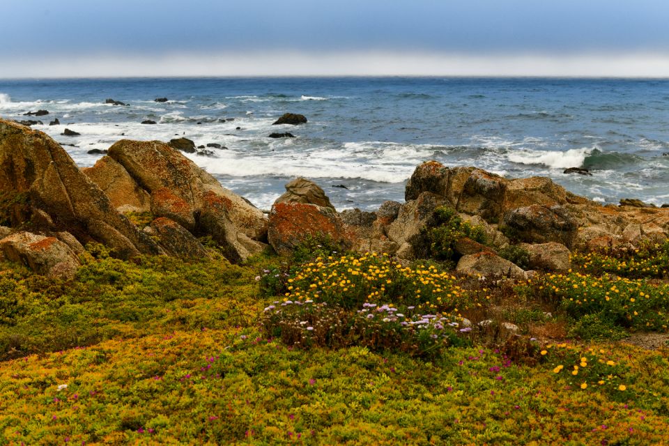 Scenic 17-Mile Self-Guided Driving Audio Tour - Whats Not Included