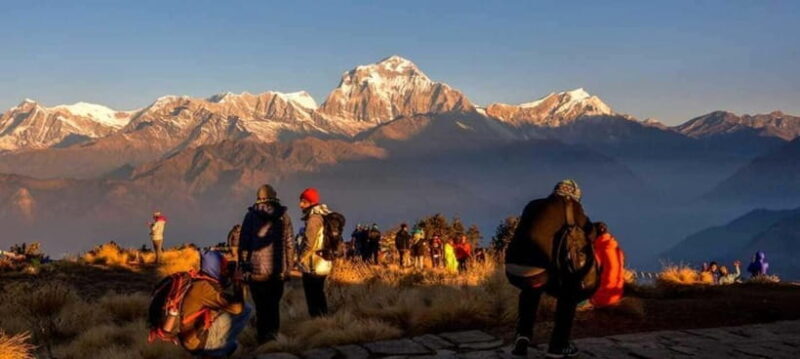 Scenic Adventure: Group Joining 2-Day Poon Hill Trek Tour - Authentic Experience and Traveler Perspectives