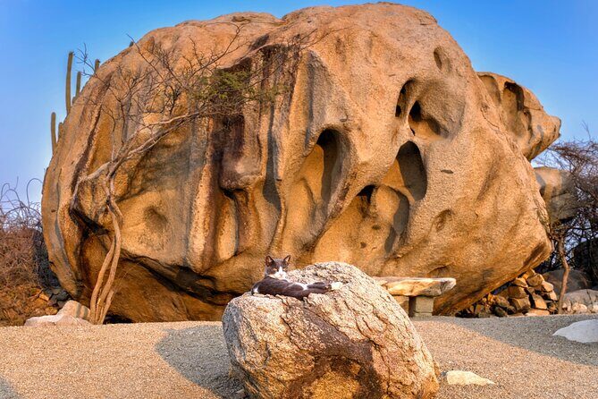 Scenic Aruba Self-Guided Driving and Walking Audio Tour - Final Thoughts: Is It Worth It?