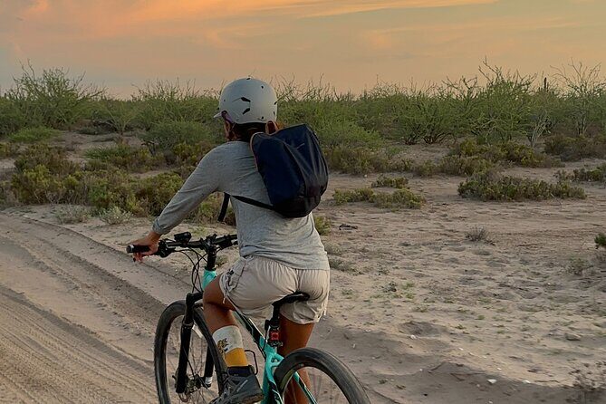 Scenic Bay Bike Ride Through Desert and Mangrove - Who Will Love This Tour?