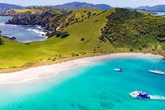Scenic Bay of Islands Escape: Private Full-Day Tour from Auckland - Key Points
