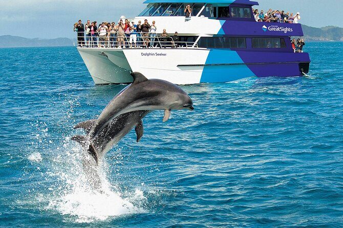 Scenic Bay of Islands Escape: Private Full-Day Tour from Auckland - Final Thoughts