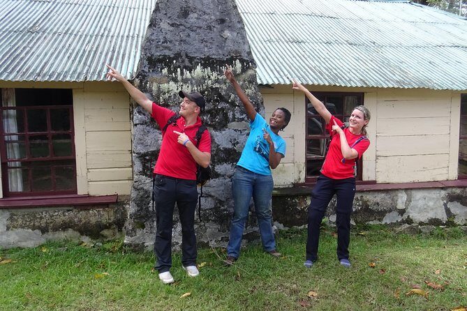 Scenic Blue Mountain Hike from Kingston - An In-Depth Look at the Blue Mountain Hike Experience