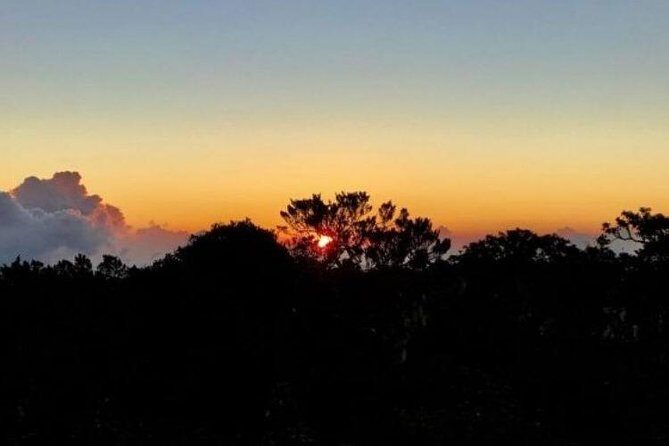 Scenic Blue Mountain Hike from Kingston - Who Will Love This Tour?