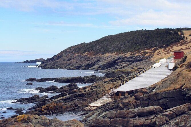 Scenic Bus Tour of the Northeast Avalon from St. John's - Key Points: