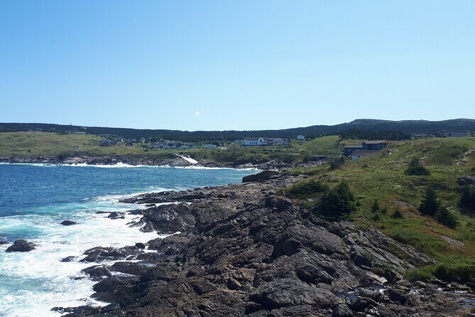 Scenic Bus Tour of the Northeast Avalon from St. John's - An In-Depth Look at the Itinerary