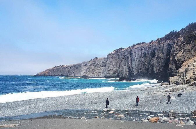 Scenic Bus Tour of the Northeast Avalon from St. John's - Who Will Enjoy This Tour?