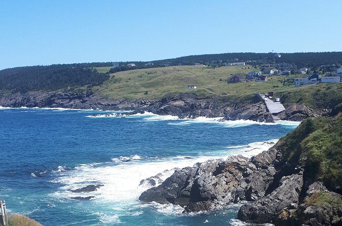 Scenic Bus Tour of the Northeast Avalon from St. John's - Final Thoughts: Who Should Consider This Tour?