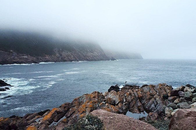 Scenic Bus Tour of the Northeast Avalon from St. John's - FAQ