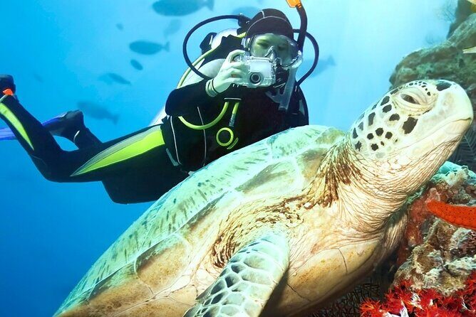 Scenic City Tour and Beach Escape - Is This Tour Right for You?