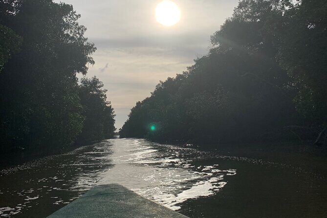 Scenic City Tour - Final Thoughts