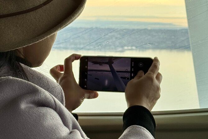 Scenic Coastal Mountain Experience by Seair Seaplanes - Diving Into the Experience: What to Expect