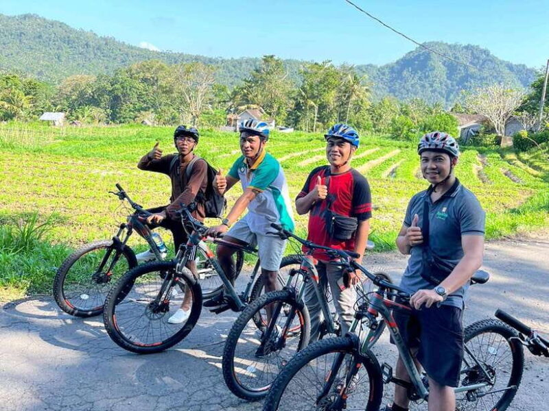 Scenic Cycling Tours Through Bali's Sidemen Countryside - An In-Depth Look at the Sidemen Cycling Tour