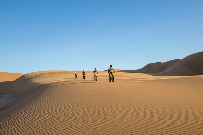 Scenic Desert Tour by Bike - Logistics and Meeting Point