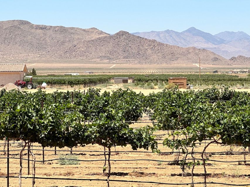 Scenic Desert Wine, Distillery Tastings/Brewery/RT66 & Lunch - Key Points