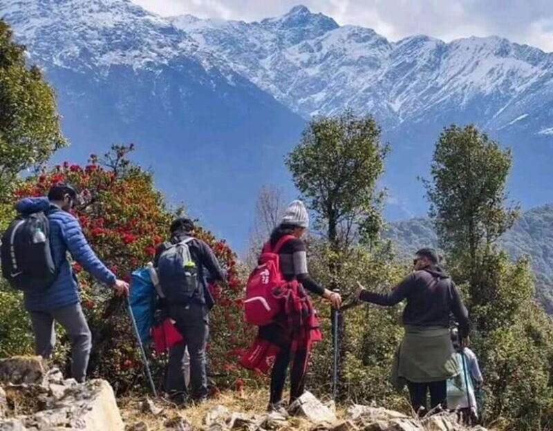 Scenic & Easy: Hike to Australian Base Camp - What Travelers Can Expect at Each Stop